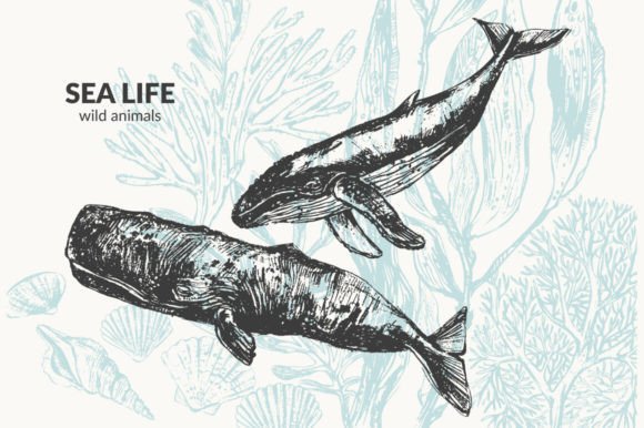 Sea Life Background Grafik Druckbare Illustrationen Von katya bogina