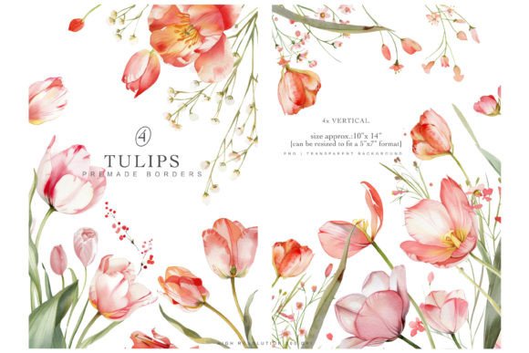 Watercolor Tulips Premade Borders Grafica Illustrazioni Stampabili Di Patishop Art