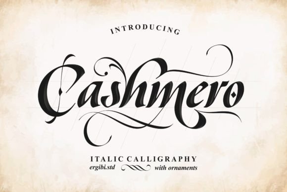 Cashmero Script & Handwritten Font By ergibi studio