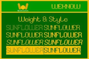 Sunflower Display Font By weknow 6