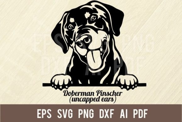 Doberman Pinscher Svg, Peeking Dog Graphic Illustrations By SignReadyDClipart