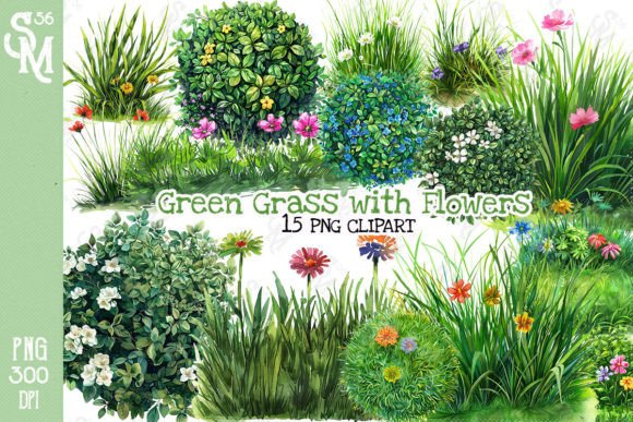 Green Grass with Flowers Clipart PNG Graphic Illustrations By StevenMunoz56