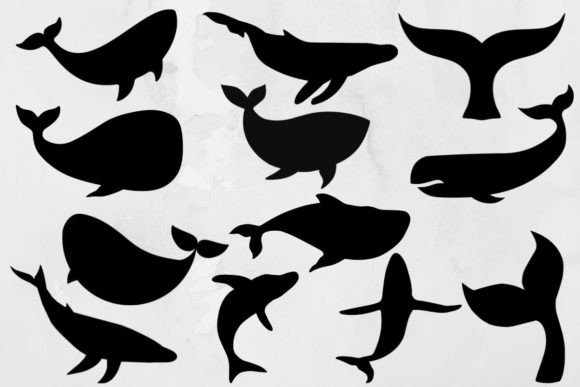Whale Svg Bundle Graphic Illustrations By WieDigitalArt
