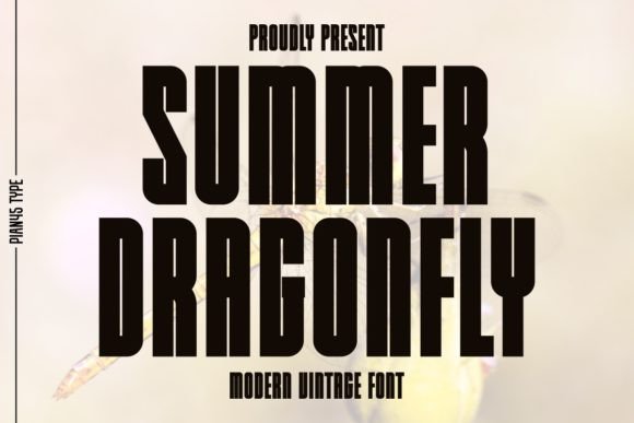 Summer Dragonfly Sans Serif Font By Pian45