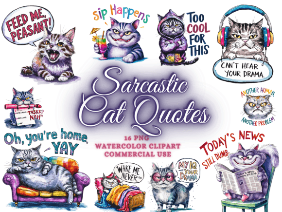 Cat Sarcastic Quotes Sublimation PNG Graphic Illustrations By Artistic Revolution