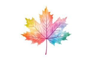 Pastel Maple Leaf Clipart Graphic Illustrations By Forhadx5