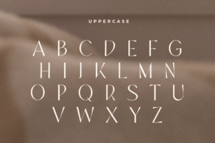 Rebeca Sans Serif Font By sensatype 14