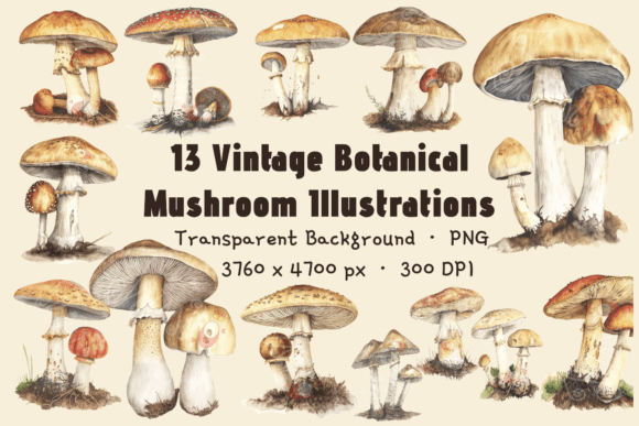Mushroom Clipart Transparent Background Graphic Scene Generators By imperfectirissio