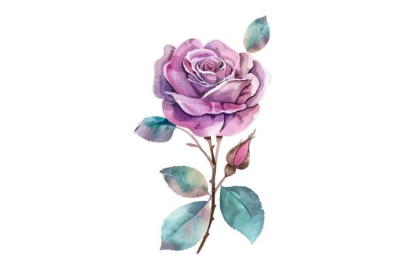 Watercolor Pink Rose Flower Illustration Illustrations Imprimables Par Nayem Khan