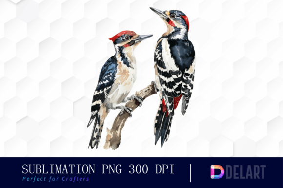 FREE Woodpeckers Watercolor Clipart, Bir Graphic Illustrations By DelArtCreation