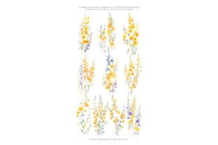 Watercolor Yellow Meadow Flowers Set Grafik Druckbare Illustrationen Von Patishop Art 5