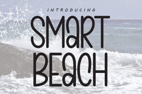 Smart Beach Script & Handwritten Font By betastudio13