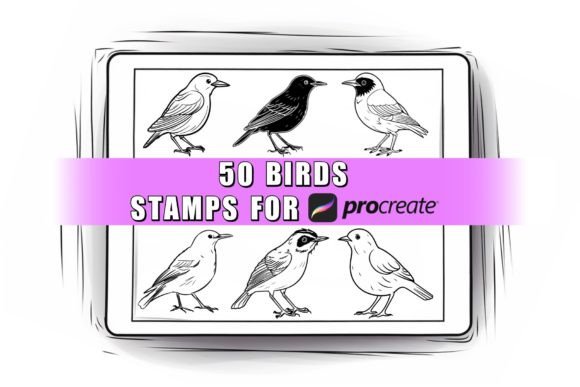 50 Bird Procreate Stamps Brushes Illustration Pinceaux Par CanadaArtGallery
