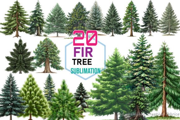 Fir Tree Sublimation Clipart Bundle Gráfico Ilustraciones Imprimibles Por Md Shahjahan