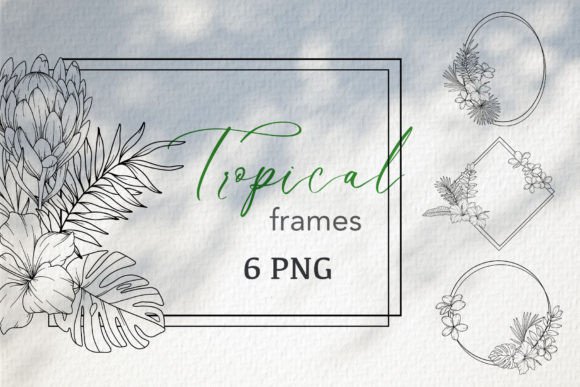 Tropical Flowers Outline Frames Graphic Illustrations By CaraulanStore