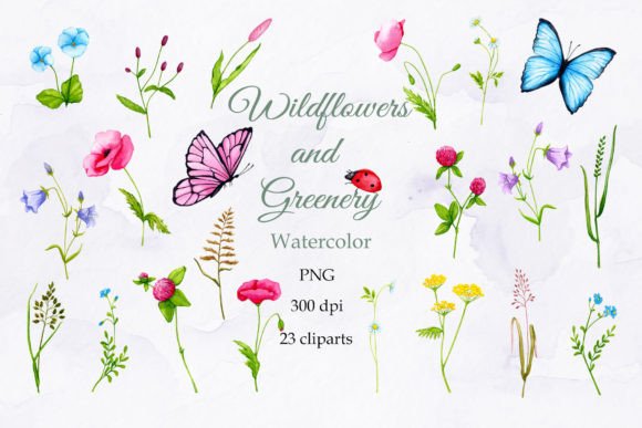 Wildflowers. Watercolor Clipart. PNG Gráfico Ilustraciones Imprimibles Por Watercolor_by_Alyona