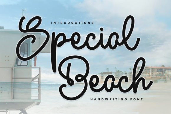Special Beach Script & Handwritten Font By YanStudio