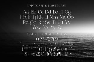 Leficus Serif Font By jeritype 9