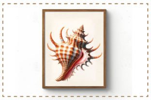Seashells Watercolor Clipart Graphic Illustrations By RevolutionCraft 5