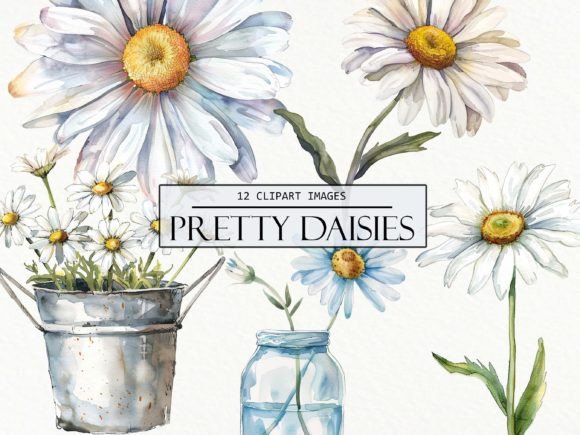 Watercolor Daisies Clipart Graphic AI Transparent PNGs By Digital Attic Studio