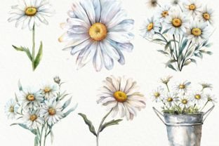 Watercolor Daisies Clipart Graphic AI Transparent PNGs By Digital Attic Studio 4