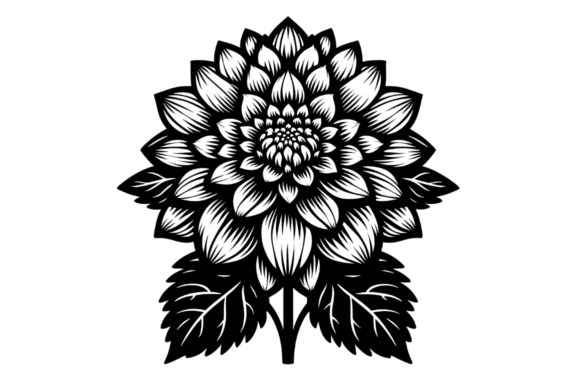Decorative Dahlia SVG Clip Art, Floral Gráfico Ilustrações para Impressão Por Artful Assetsy