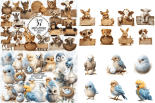 Baby Animals Clipart Png Mega Bundle Graphic Illustrations By Markicha Art 6