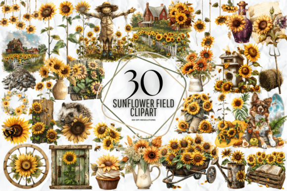 Summer Sunflower Field Clipart Graphic Illustrations By Markicha Art