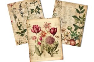 Botanical Herbal Collage Journal Paper Graphic Backgrounds By busydaydesign 3