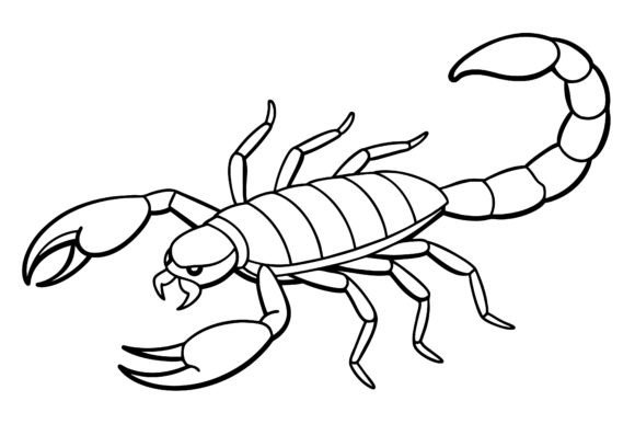 Scorpion Vector Coloring Page Image Gráfico Ilustraciones Imprimibles Por SKShagor Barmon