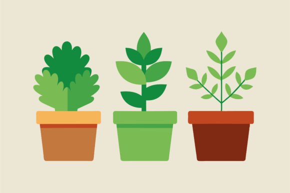 Set of Office Plants in Pots Vector Graphic Crafts By SKShagor Barmon