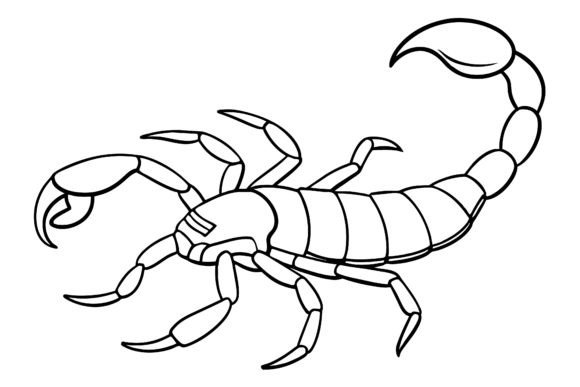 Scorpion Vector Coloring Page Gráfico Páginas y libros para colorear Por SKShagor Barmon