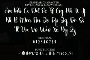 Naughty Script & Handwritten Font By Inermedia STUDIO 3
