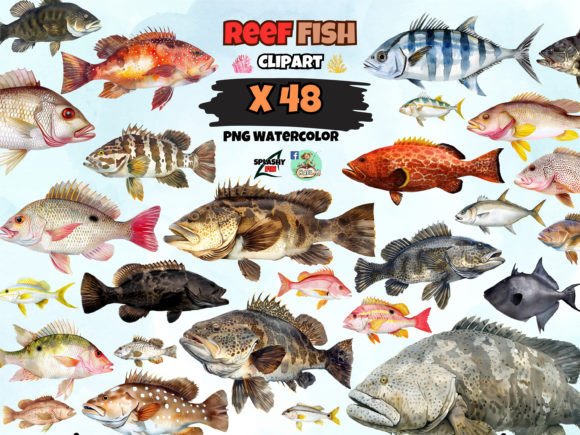 Watercolor Reef Fish Clipart Grafik Plotterdateien Von SPLASHY FIN