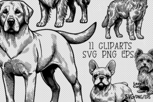 Dog Breeds Line Art SVG PNG Bundle Graphic Crafts By Lazy Cat 2