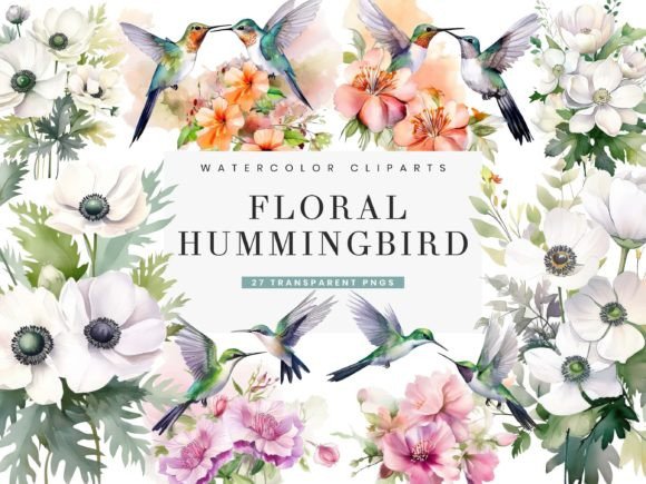 Watercolor Hummingbird Clipart Bundle Graphic Illustrations By busydaydesign