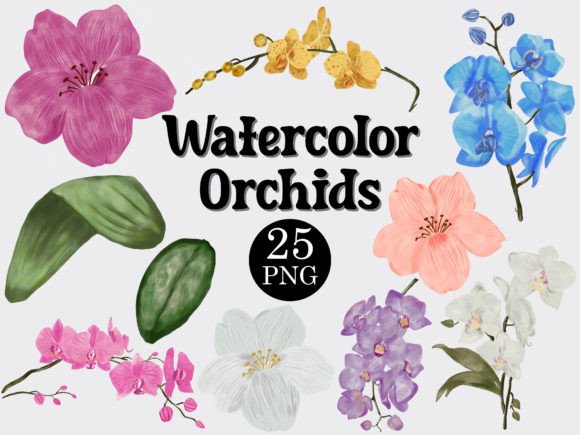 Watercolor Orchid Flower Clipart Set Graphic Illustrations By beyouenked
