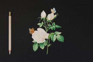 White Flowers Bouquets & Grappes Design de Broderie Par wick john 1