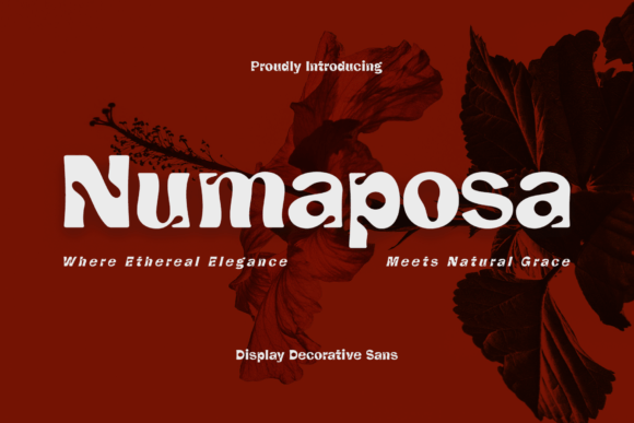 Numaposa Decorative Font By Creatifont Studios