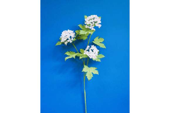 Oak Tree Hydrangea Branch Paper flowers 3D SVG Craft By 3D SVG Crafts