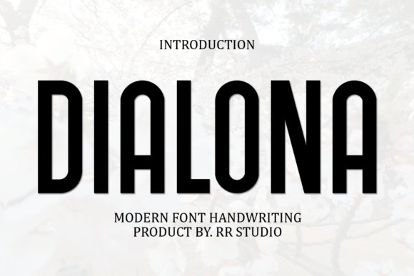 Dialona Sans Serif Font By RR Studio