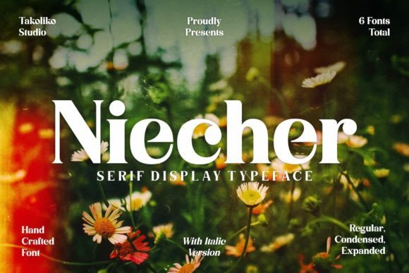 Niecher Display Font By takoliko