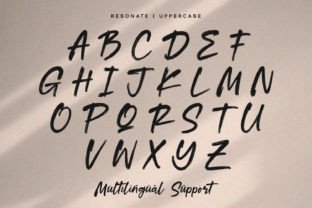 Resonate Script & Handwritten Font By alpapranastudio 4
