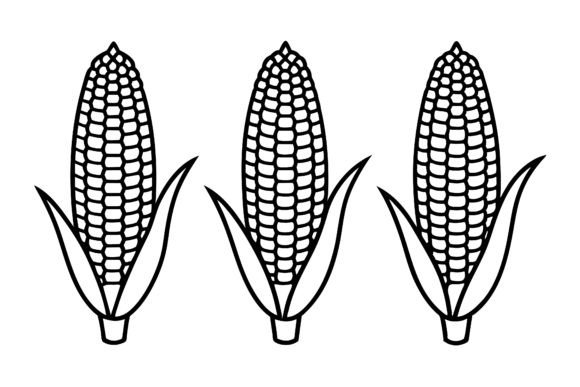 Corn for Coloring Book Illustration Graphic Illustrations By SKShagor Barmon