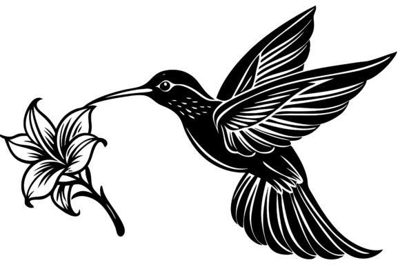 Line Art of a Hummingbird Gráfico Ilustraciones Imprimibles Por Creative Designs