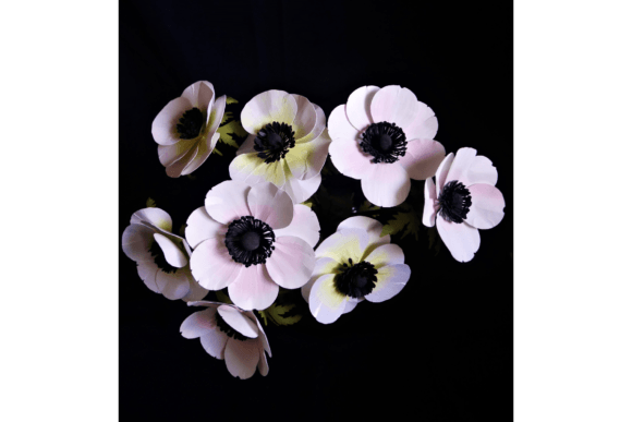 Giant Anemones Fleurs en papier Ressources SVG 3D pour les Loisirs Créatifs Par 3D SVG Crafts