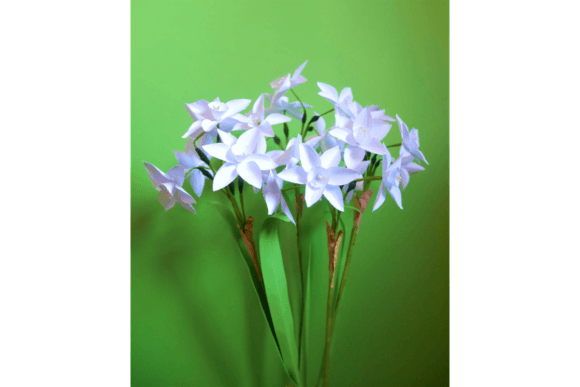 Narcissus Paperwhite Paper flowers 3D SVG Craft By 3D SVG Crafts