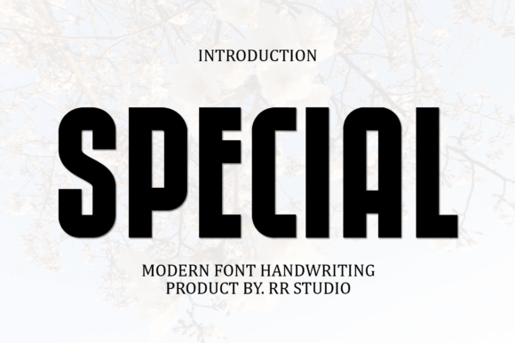Special Sans Serif Font By RR Studio