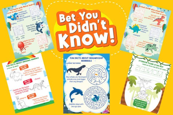 Colorful Trivia Book for Kids 21 Pages Graphic KDP Interiors By skprintingpress