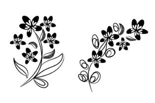 Floral Decorative Elements Collection Graphic 3D SVG By st